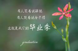 -决战之巅，范戴克铁血铸盾，喀麦隆加纳生死局写就唯一传奇