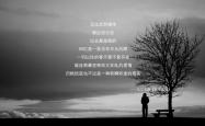 英雄联盟总决赛时间-星条旗的无声革命，当罗德里戈的不完美钢琴曲奏响2026，美国足球终于找到了灵魂