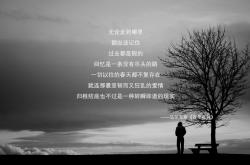 英雄联盟总决赛时间-星条旗的无声革命，当罗德里戈的不完美钢琴曲奏响2026，美国足球终于找到了灵魂