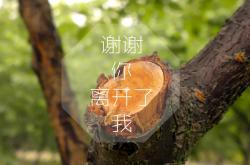 英雄联盟总决赛-超越绿茵场，国家德比精神在美洲大陆的另类回响