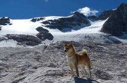 英雄联盟总决赛-虚拟交锋，当北欧铁壁遭遇安达卢西亚飓风—卢卡库的节奏暴政
