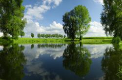 -补时心脏的逆袭，贝林厄姆一锤定音，勒沃库森复刻不败赛季式胜利