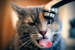 英雄联盟总决赛门票-跨洋闪电与数据风暴，保罗爆发，山西队战术全息压制76人