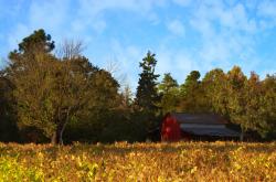 英雄联盟总决赛赛程-当石油资本攻陷安菲尔德，一场友谊赛如何暴露欧洲足球的致命裂缝
