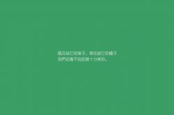 -一（诗意隐喻版）从柏林到阿兹特克，布雷默的双重奏在世界杯之夜响起