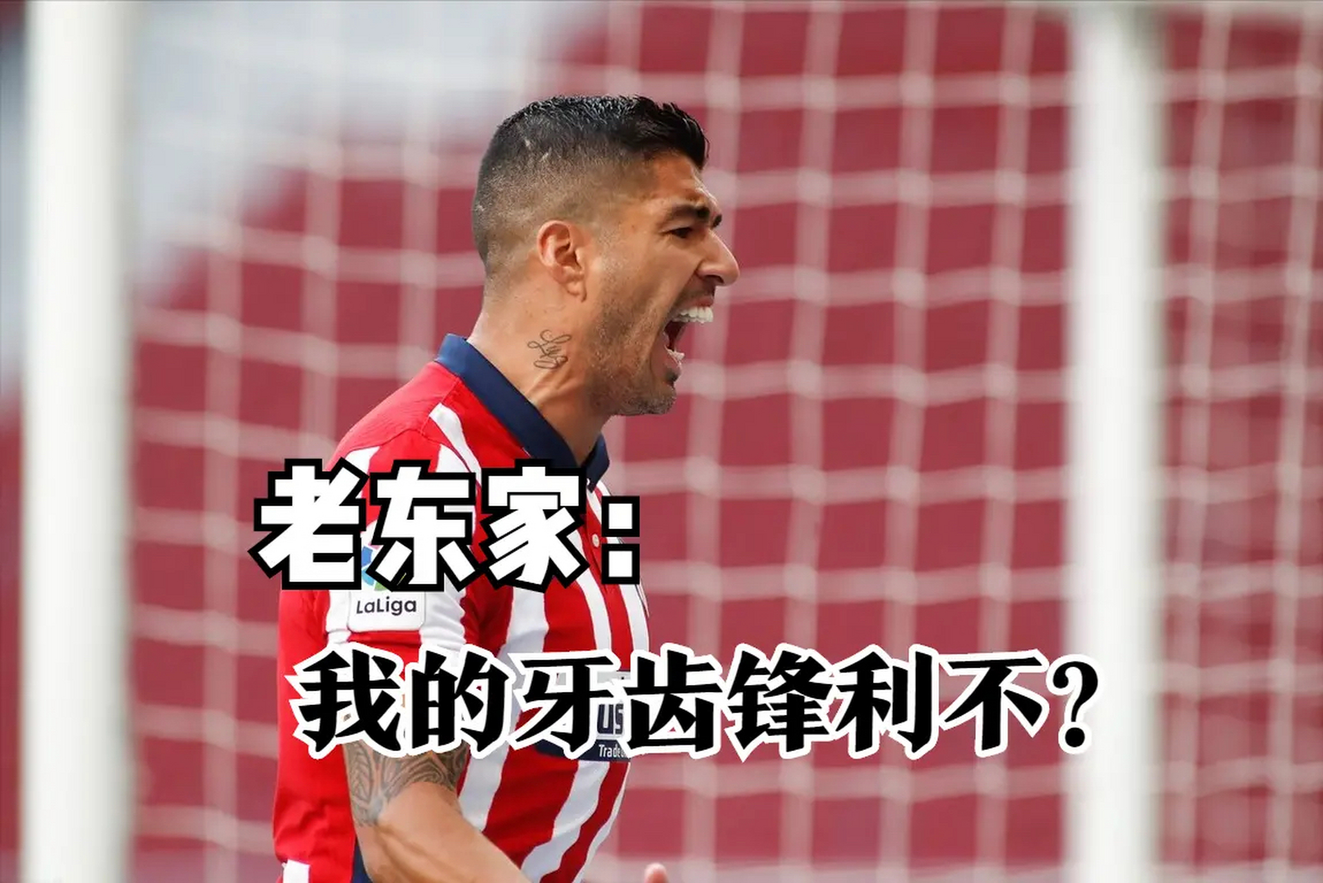 马德里竞技轻取希腊,苏亚雷斯状态火热 马德里竞技轻取希腊,苏亚雷斯状态火热