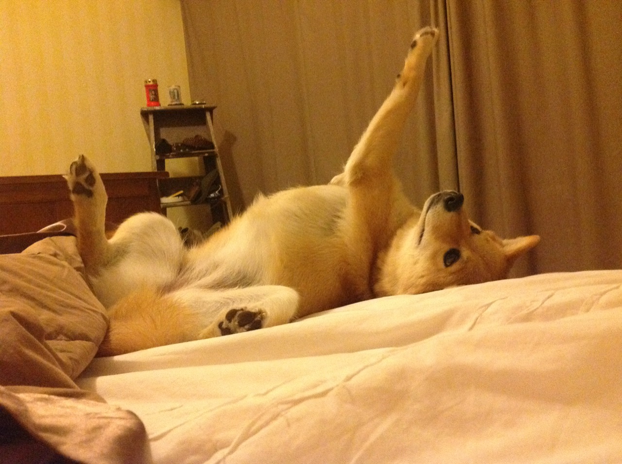 莱茵河畔的阿根廷探戈—劳塔罗在德甲争冠夜的孤狼独舞