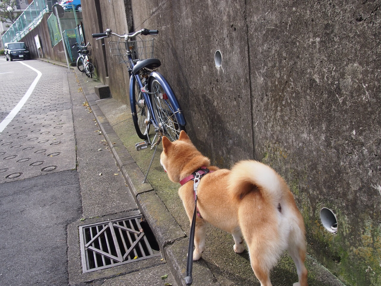 风城之矛刺穿江南铁壁，拉文用25分完美定义现代篮球