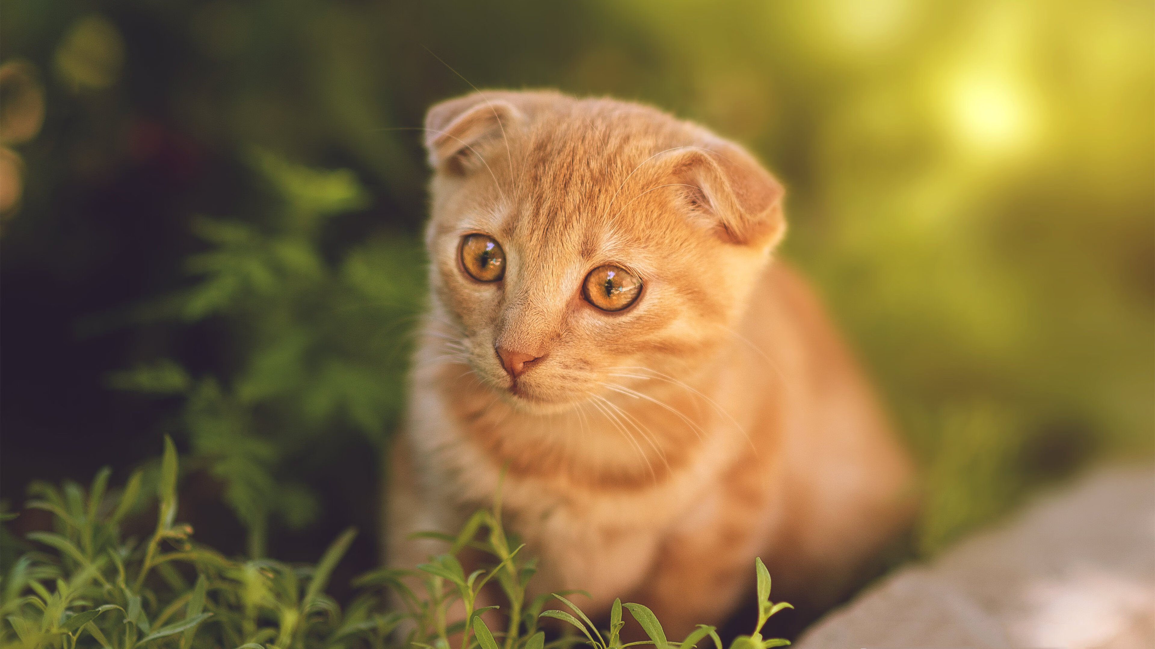 强压破局！尤文终场直击摩洛哥，迪亚斯角旗区致命一击改写结局