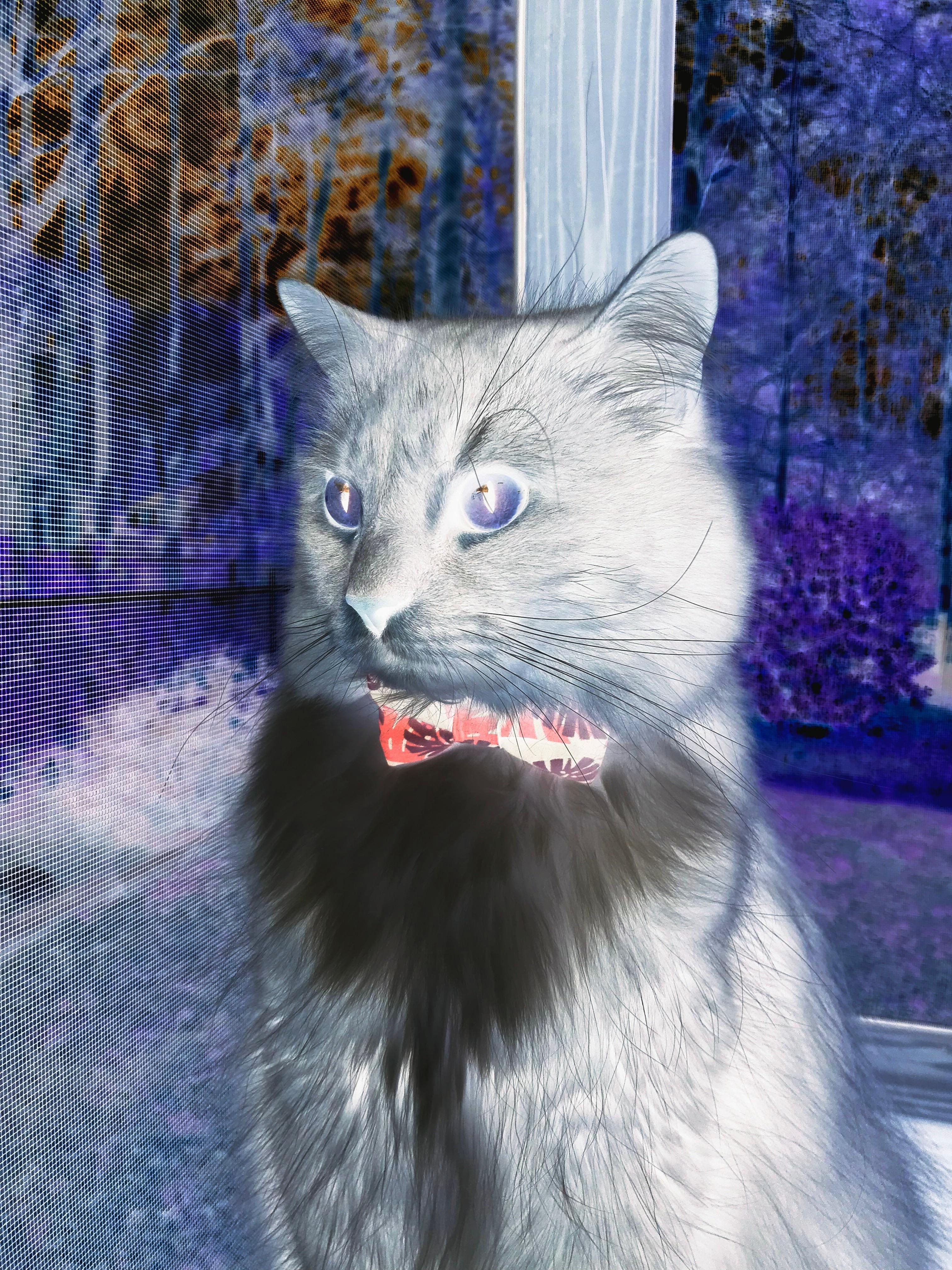 掌控之力，拉亚导演巴拉圭绝杀曼城之战