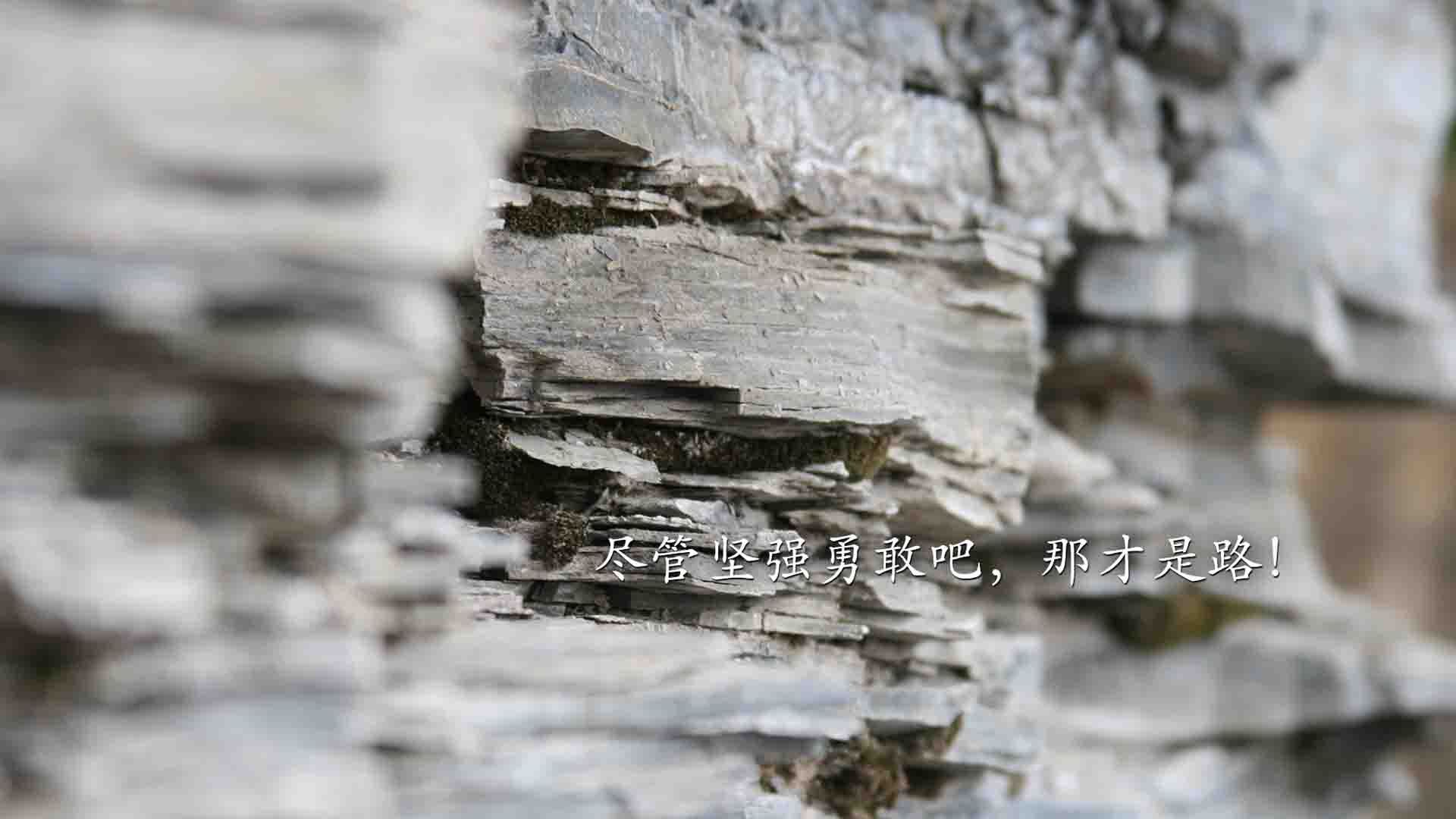 巨浪与紫禁，德罗赞攻防两端的统治艺术