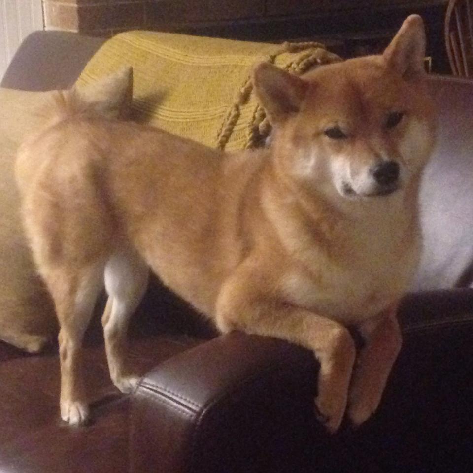 风雪五棵松,当NBA奇才队踏平广东宏远之夜