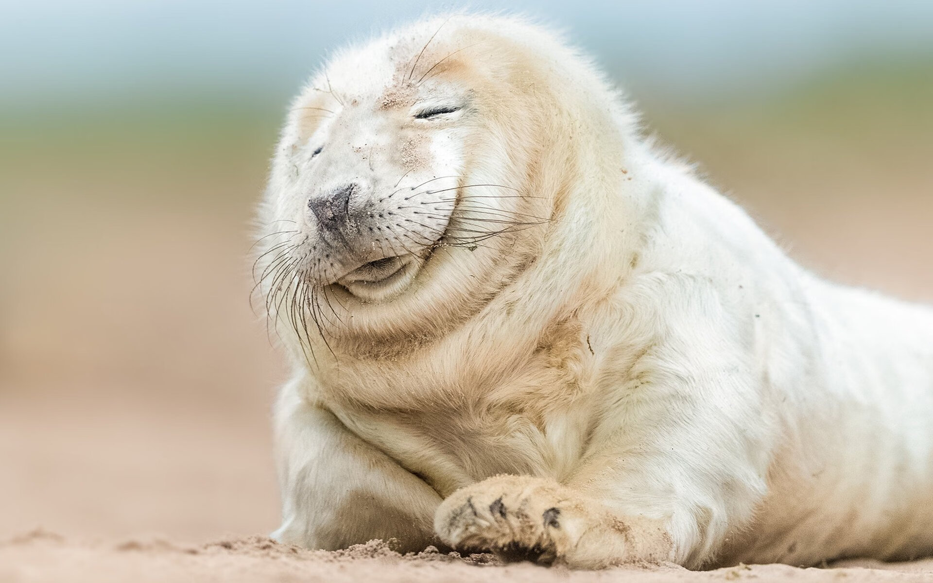 跨域狙击，当热火的烈焰灼烧辽宁的冰雪，利拉德是唯一那把钥匙