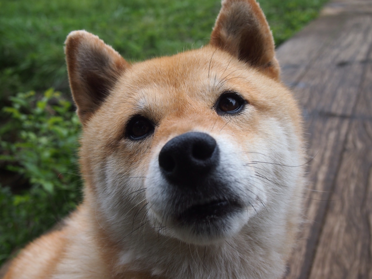 跨国硬仗,贝恩末节统治,篮网险胜浙江取关键胜利