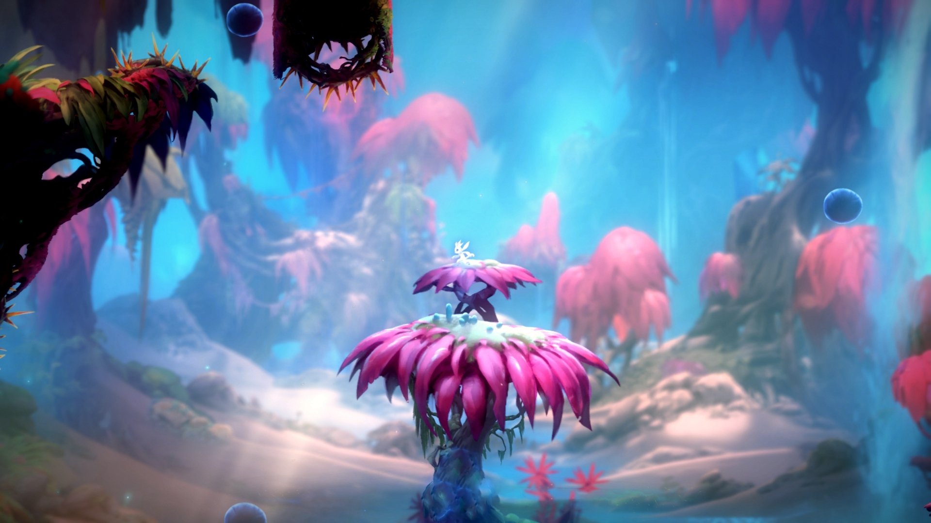 唯一性的短笛，当巴斯克雄狮的旧梦，遇见基米希统治的现代飓风