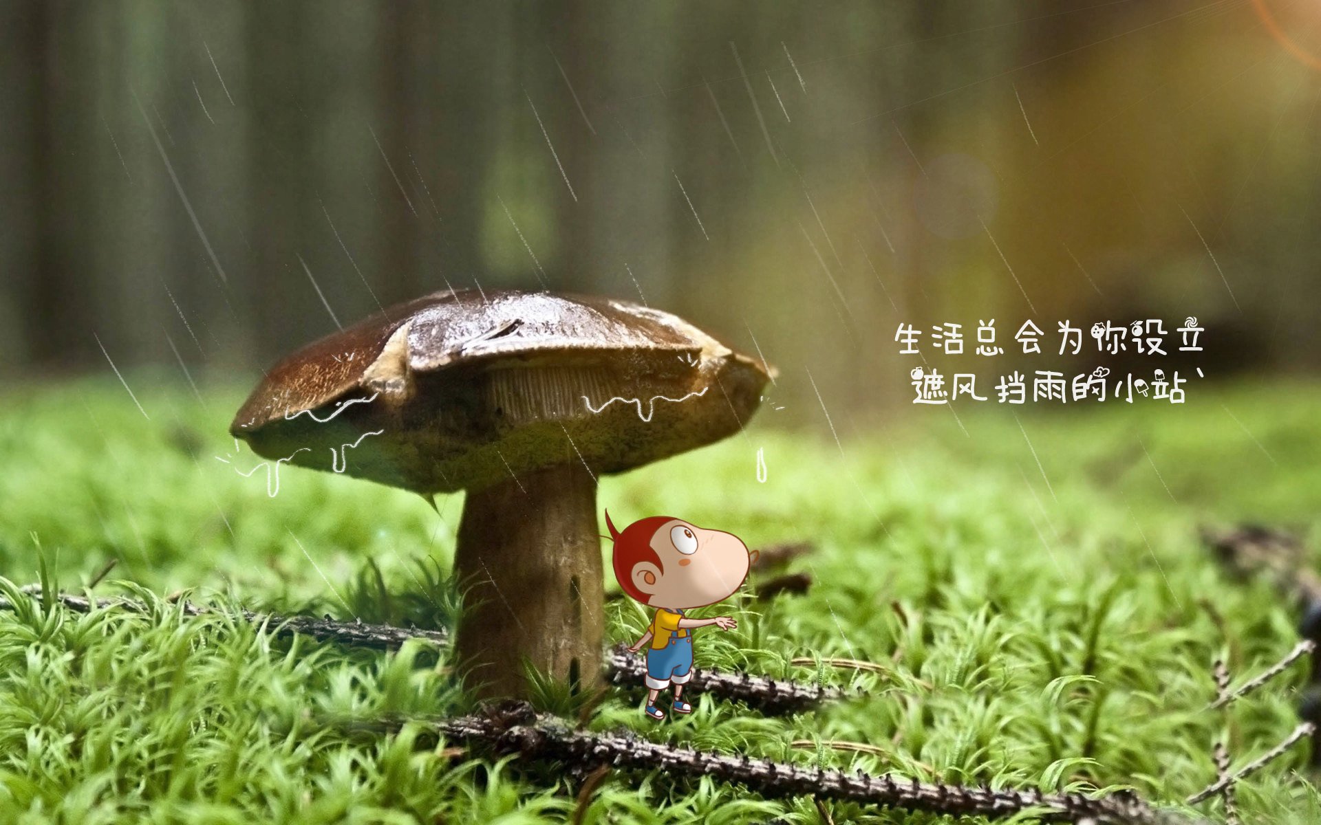 桑巴风暴席卷多哈,当美丽足球在2026世界杯八分之一决赛中完成终极进化