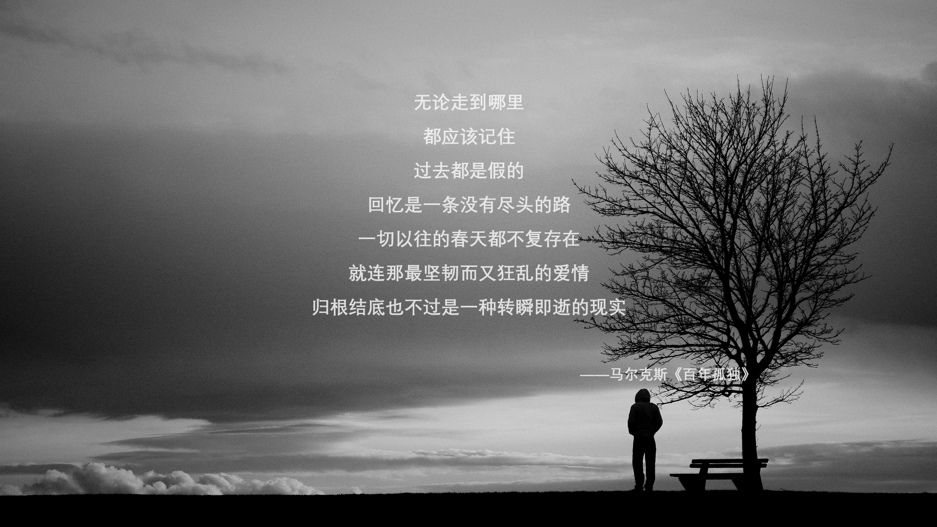 星条旗的无声革命，当罗德里戈的不完美钢琴曲奏响2026，美国足球终于找到了灵魂