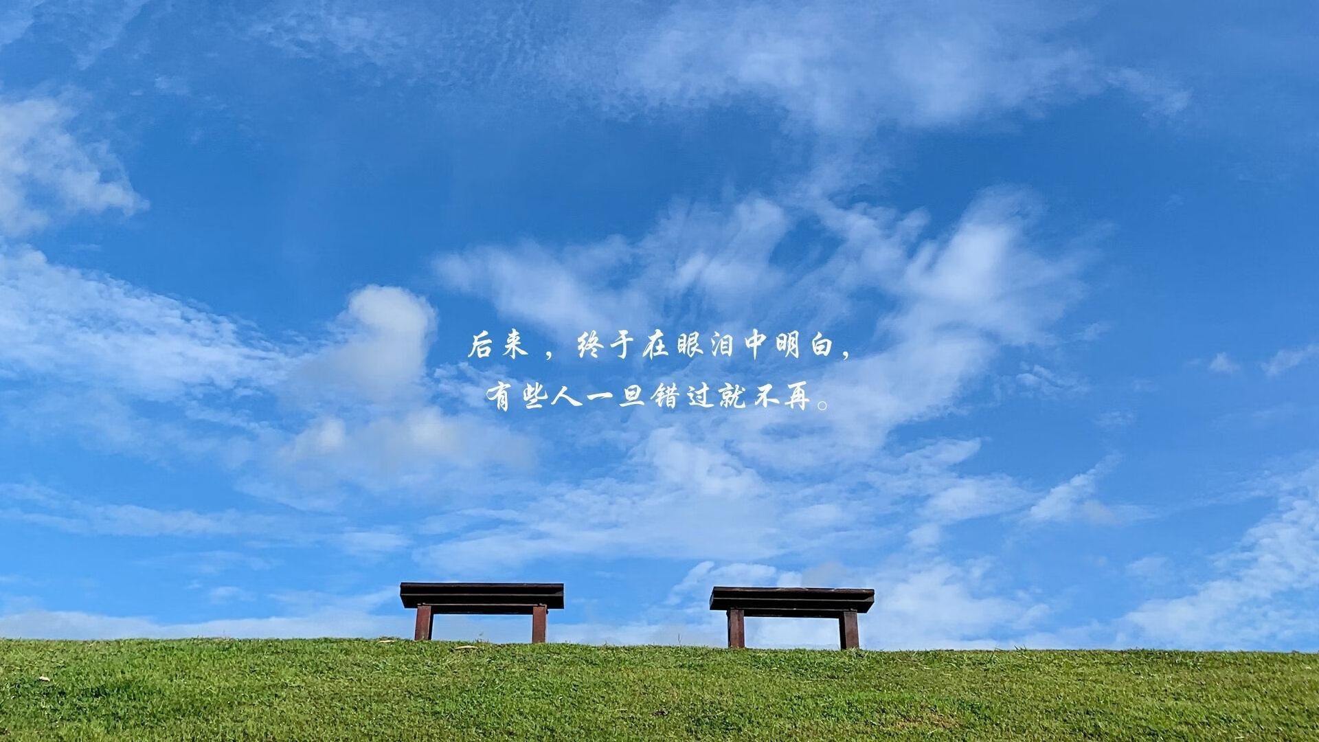 逆转与重生,2026世界杯A组关键战,波兰绝地反击卡塔尔,库尔图瓦的领袖密码